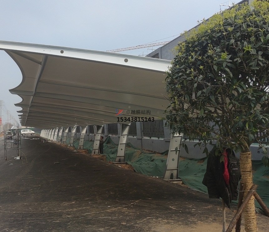 扶沟草莓视频污版下载